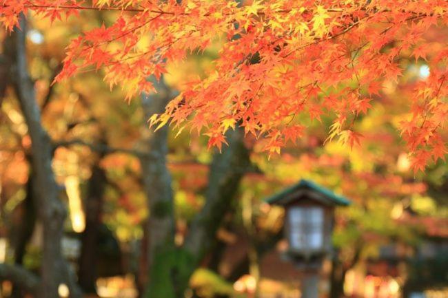 Kanazawa Machiya Inn Hana Экстерьер фото